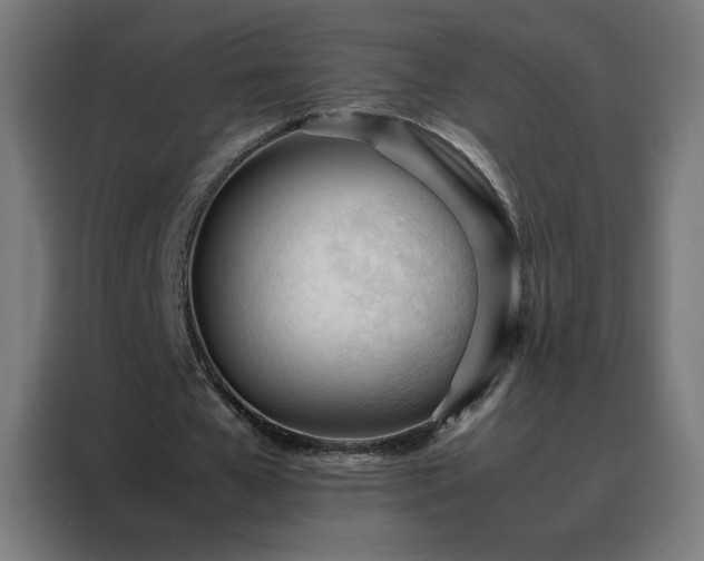 X0000088170577200705221623