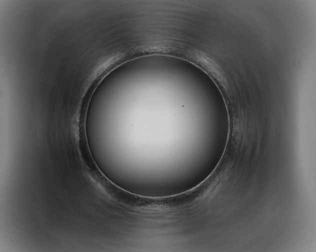 X0000088170578200705221623