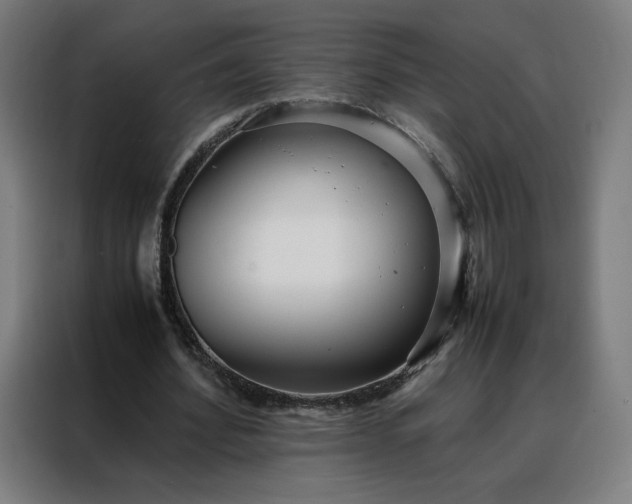 X0000088170580200705221623