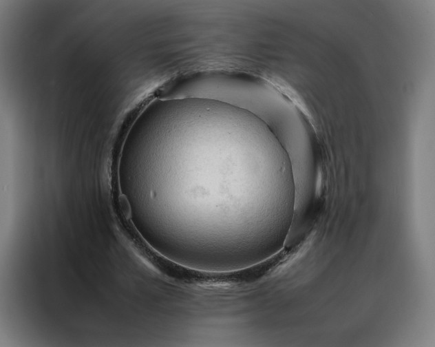 X0000088170581200705221623