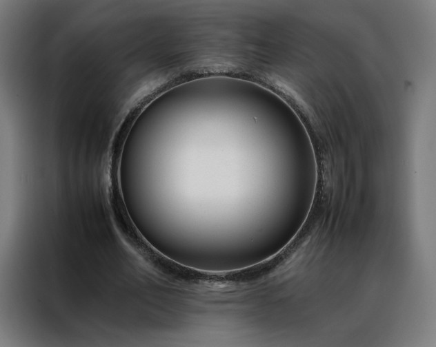 X0000088170582200705221623