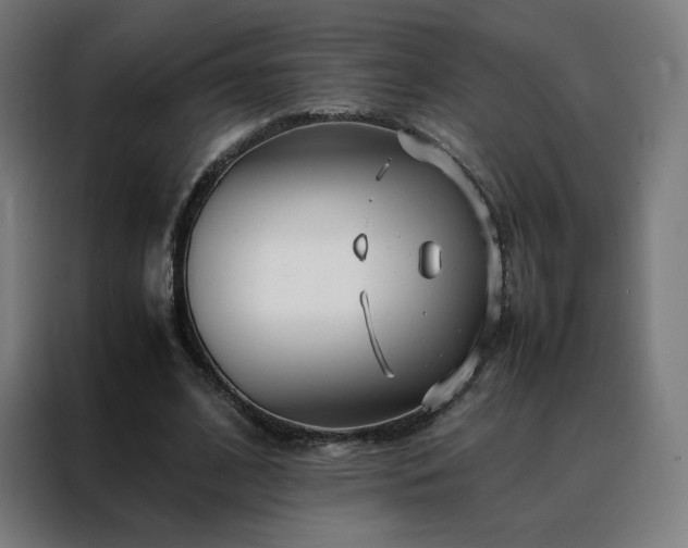 X0000088170584200705221623