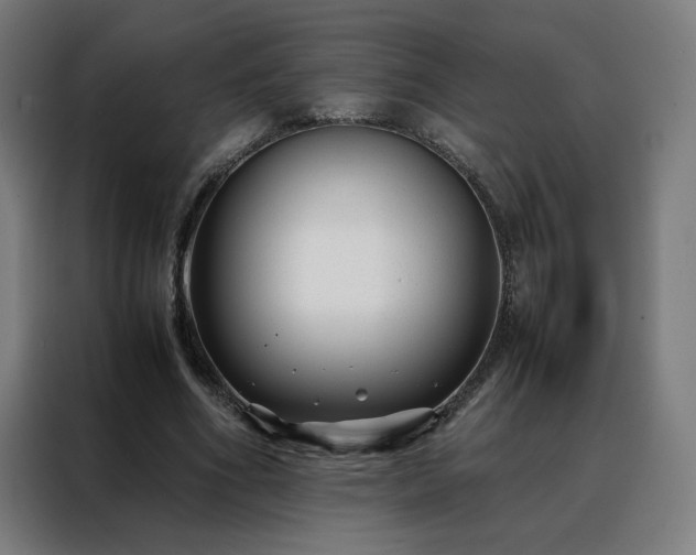 X0000088170586200705221623