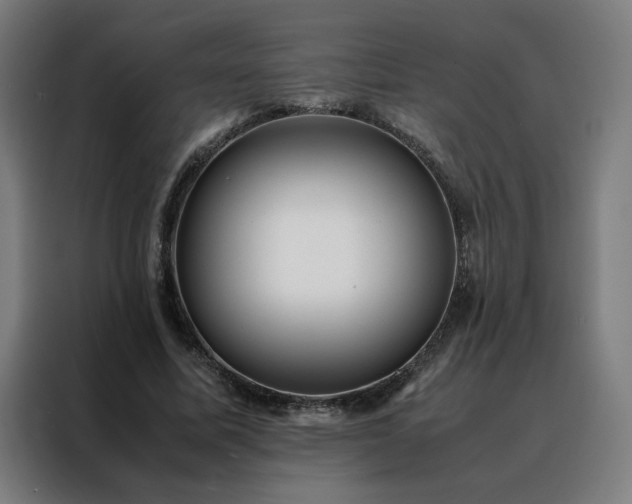 X0000088170587200705221623