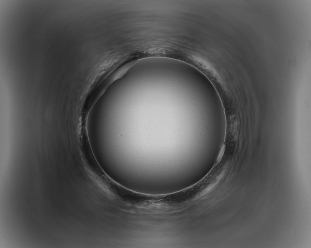 X0000088170589200705221623