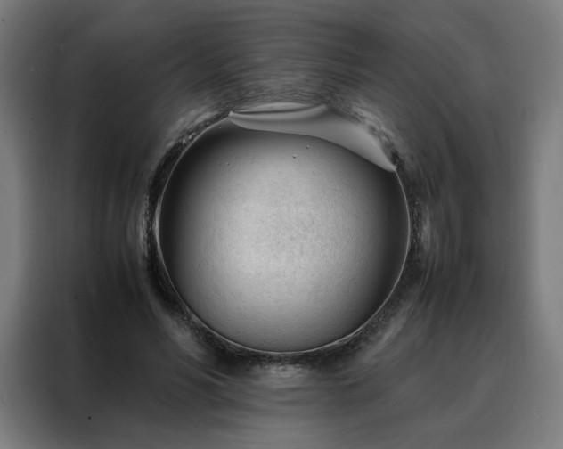 X0000088170590200705221623