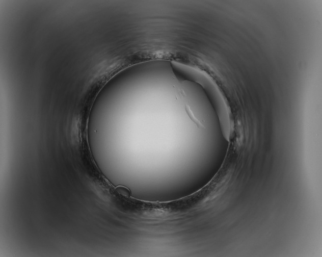 X0000088170594200705221623