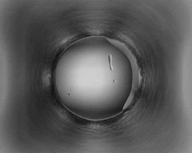 X0000088170596200705221623