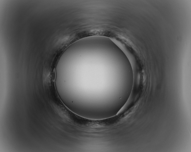 X0000088170597200705221623