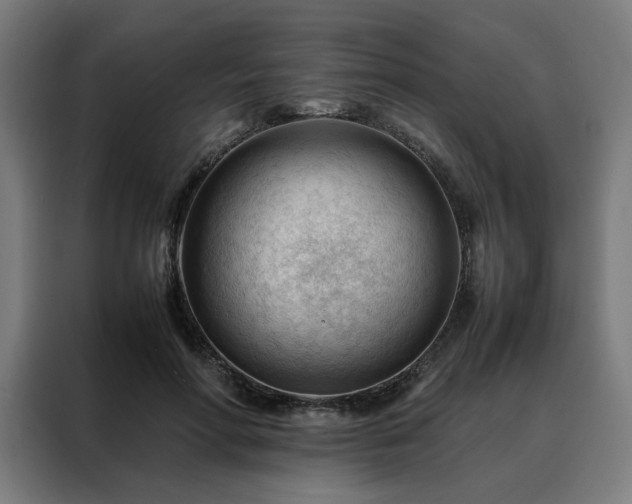 X0000088170598200705221623