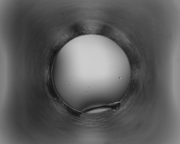 X0000088170599200705221623