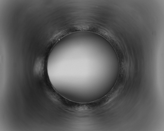 X0000088170600200705221623