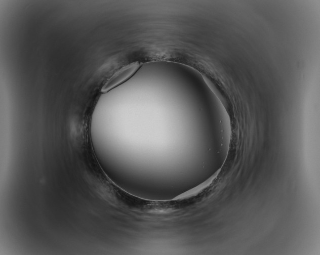 X0000088170601200705221623