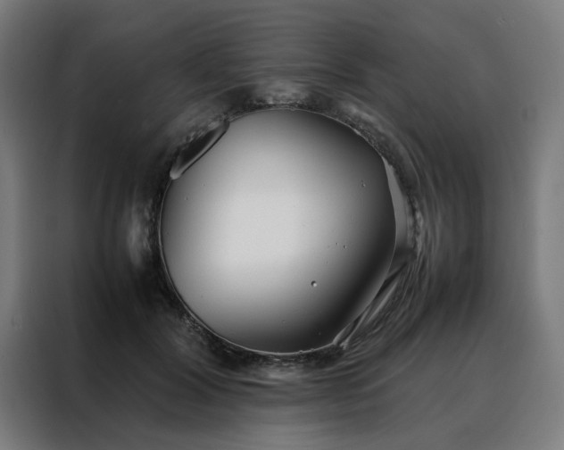 X0000088170604200705221623