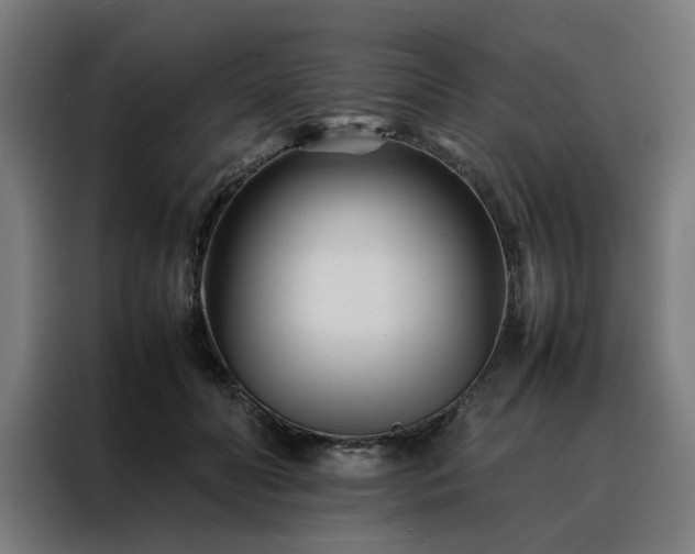 X0000088170606200705221623