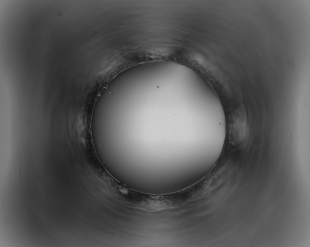 X0000088170608200705221623