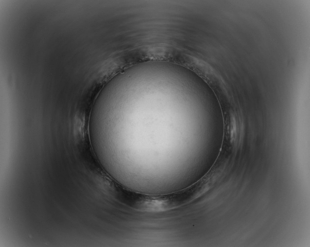 X0000088170610200705221623