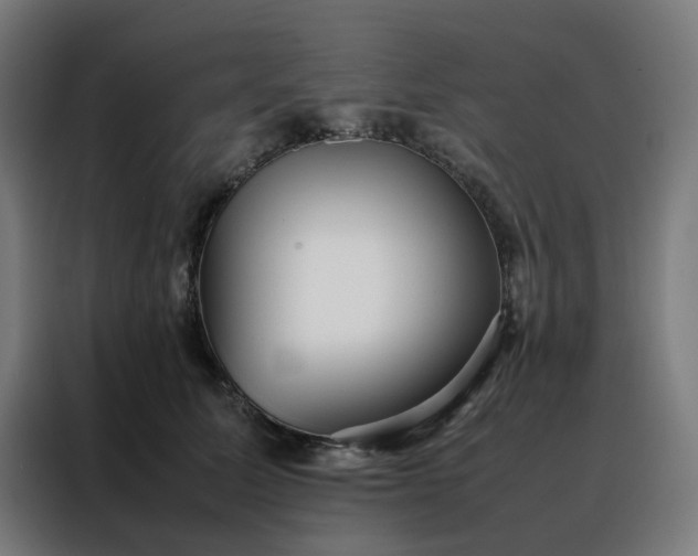 X0000088170611200705221623