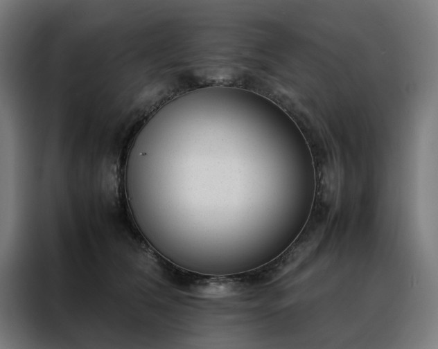 X0000088170612200705221623