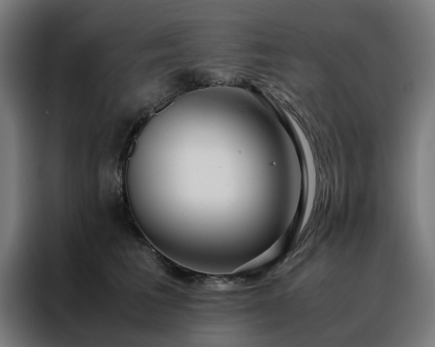 X0000088170613200705221623