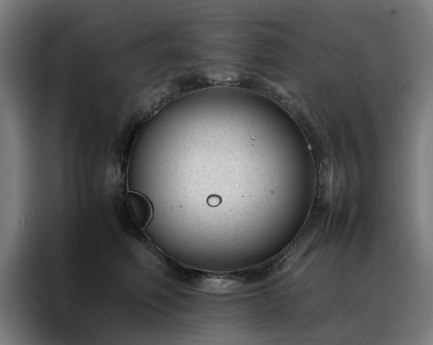 X0000088170614200705221623