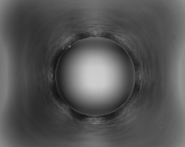 X0000088170615200705221623