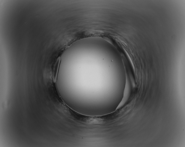 X0000088170617200705221623