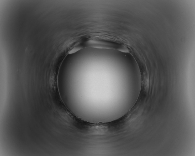 X0000088170619200705221623