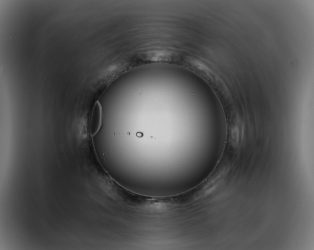 X0000088170620200705221623