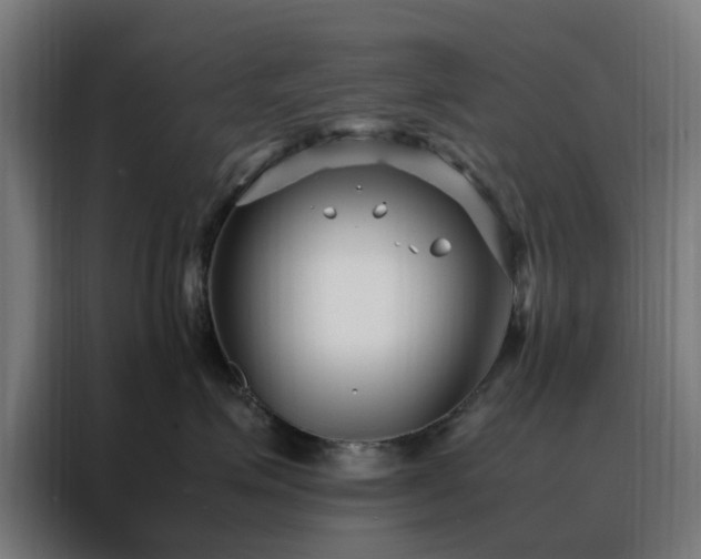 X0000088170623200705221623