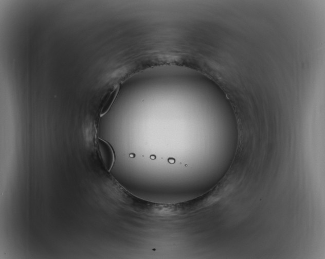 X0000088170624200705221623