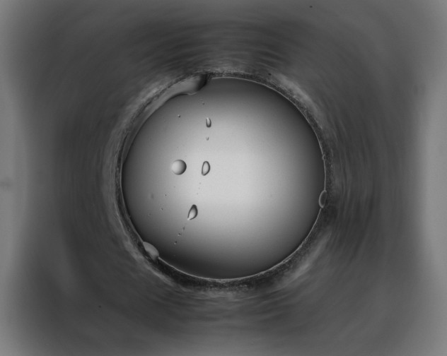 X0000088170625200705221622