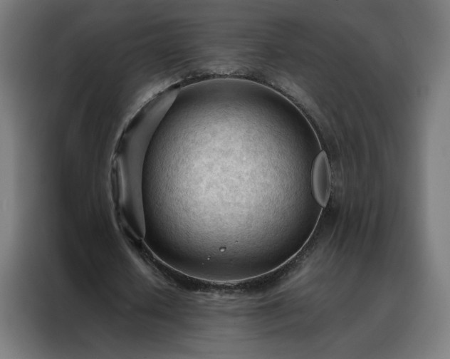 X0000088170626200705221622