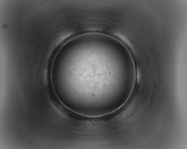 X0000088170627200705221622