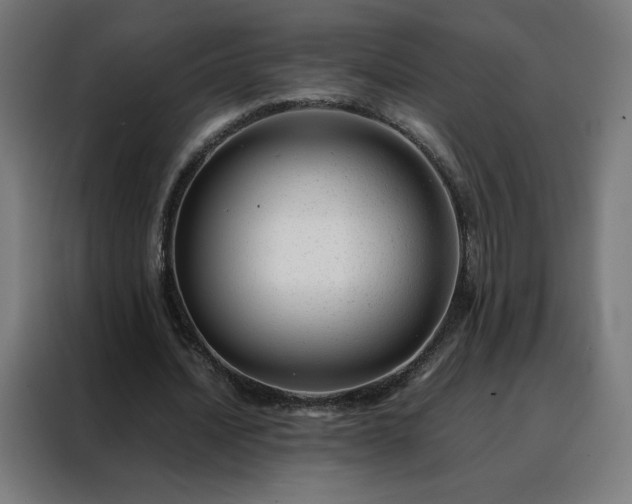 X0000088170628200705221622