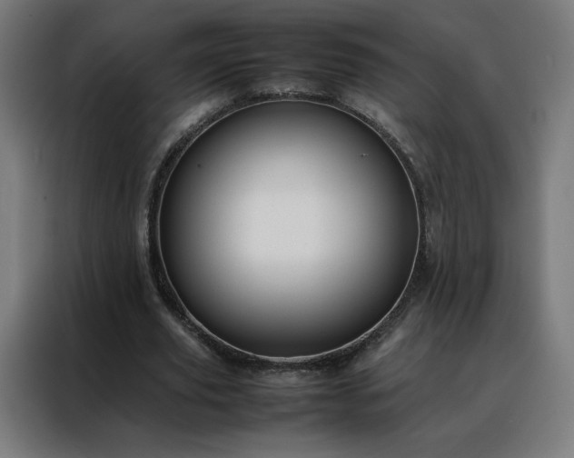 X0000088170629200705221622