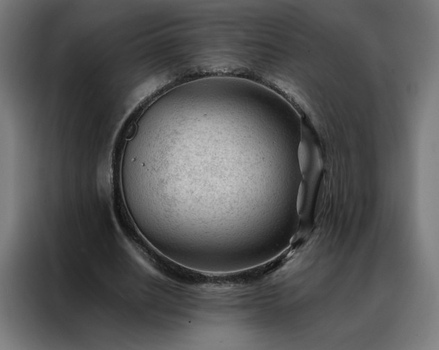 X0000088170630200705221622