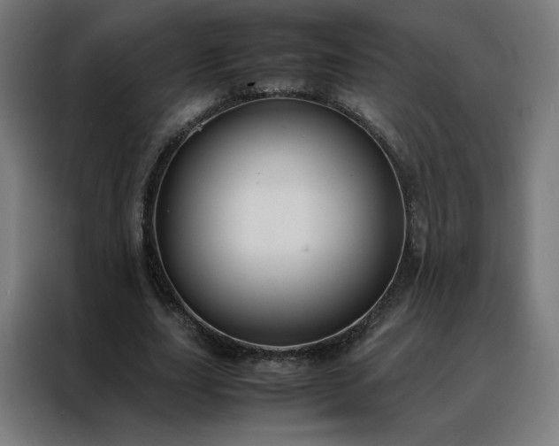 X0000088170631200705221622