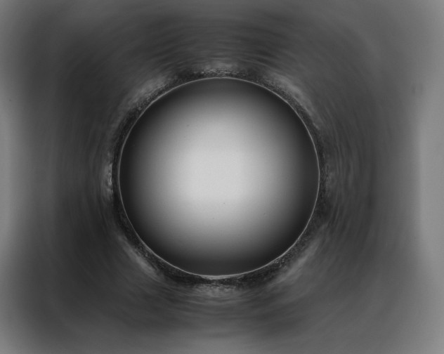 X0000088170633200705221622