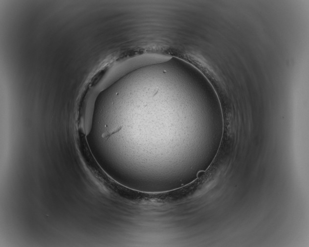 X0000088170634200705221622