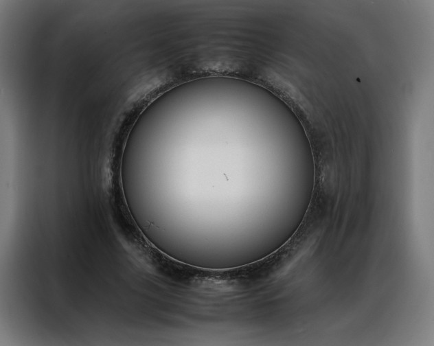 X0000088170635200705221622