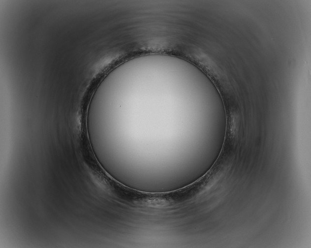 X0000088170636200705221622