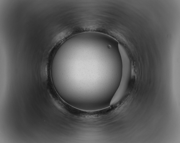 X0000088170638200705221622