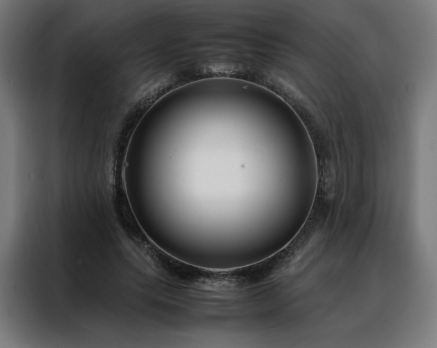 X0000088170639200705221622