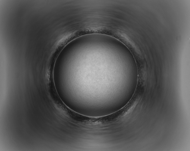 X0000088170640200705221622