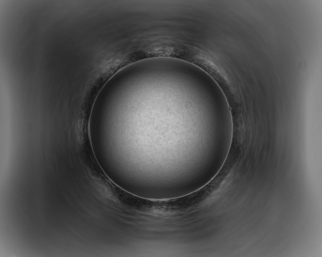 X0000088170641200705221622