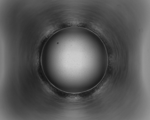 X0000088170642200705221622