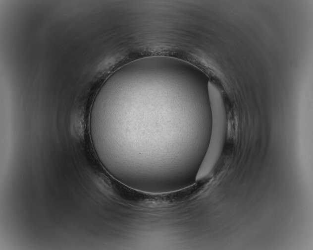 X0000088170644200705221622