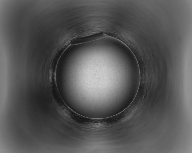 X0000088170646200705221622