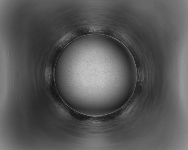 X0000088170648200705221622